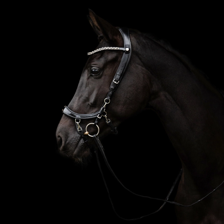 Oglowie-anatomiczne-PresTeq-FaySport-Shine-czarne-19