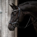Oglowie-anatomiczne-PresTeq-FaySport-Shine-czarne-17