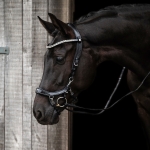 Oglowie-anatomiczne-PresTeq-FaySport-Shine-czarne-17