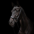 Oglowie-anatomiczne-PresTeq-FaySport-Shine-czarne-18