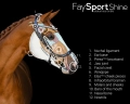 Oglowie-anatomiczne-PresTeq-FaySport-Shine-czarne-04