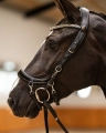 Oglowie-anatomiczne-PresTeq-FaySport-Shine-czarne-06