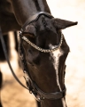Oglowie-anatomiczne-PresTeq-FaySport-Shine-czarne-08