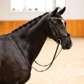 Oglowie-anatomiczne-PresTeq-FaySport-Shine-czarne-09