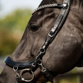 Oglowie-anatomiczne-PresTeq-FaySport-Shine-czarne-20