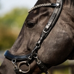 Oglowie-anatomiczne-PresTeq-FaySport-Shine-czarne-20