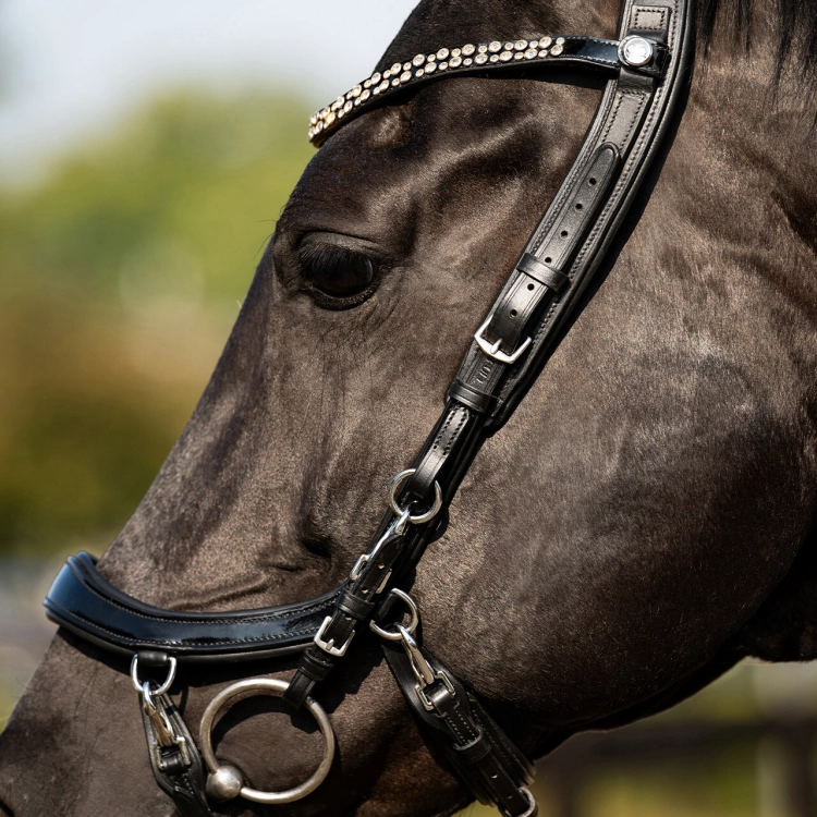 Oglowie-anatomiczne-PresTeq-FaySport-Shine-czarne-20