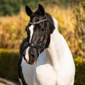 Oglowie-anatomiczne-PresTeq-FaySport-Shine-czarne-22