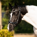 Oglowie-anatomiczne-PresTeq-FaySport-Shine-czarne-23