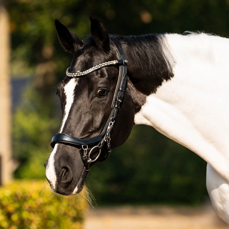 Oglowie-anatomiczne-PresTeq-FaySport-Shine-czarne-23