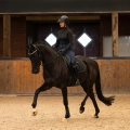 Oglowie-anatomiczne-PresTeq-FaySport-Shine-czarne-13