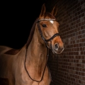 Oglowie-anatomiczne-PresTeq-FaySport-Shine-brazowe-06