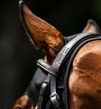 Horseware-Ionic-Calming-Face-Mask-Maska-uspokajajaca-dla-konia-04