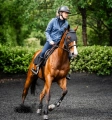 Horseware-Ionic-Calming-Face-Mask-Maska-uspokajajaca-dla-konia-07