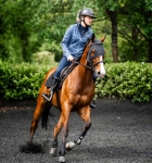 Horseware-Ionic-Calming-Face-Mask-Maska-uspokajajaca-dla-konia-07