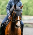 Horseware-Ionic-Calming-Face-Mask-Maska-uspokajajaca-dla-konia-05