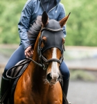 Horseware-Ionic-Calming-Face-Mask-Maska-uspokajajaca-dla-konia-05