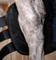 horseware-ice-gel-Ochraniacze-chlodzace-na-staw-skokowy-03