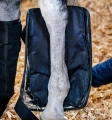 horseware-ice-gel-Ochraniacze-chlodzace-07