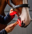 Lampa-led-terapeutyczna-HORSEWARE-LED-Red-Light-THERAPY-4