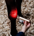 Lampa-led-terapeutyczna-HORSEWARE-LED-Red-Light-THERAPY-5