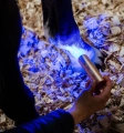Lampa-led-terapeutyczna-HORSEWARE-LED-Red-Light-THERAPY-8