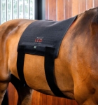 Pad-terapeutyczny-HORSEWARE-LED-Red-Light-THERAPY-3