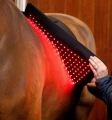 Pad-terapeutyczny-HORSEWARE-LED-Red-Light-THERAPY-5