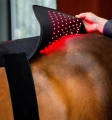 Pad-terapeutyczny-HORSEWARE-LED-Red-Light-THERAPY-9