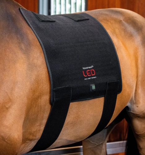 Pad-terapeutyczny-HORSEWARE-LED-Red-Light-THERAPY-2