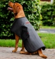 Derka-terapeutyczna-dla-psa-HORSEWARE-LED-Red-Light-THERAPY-1