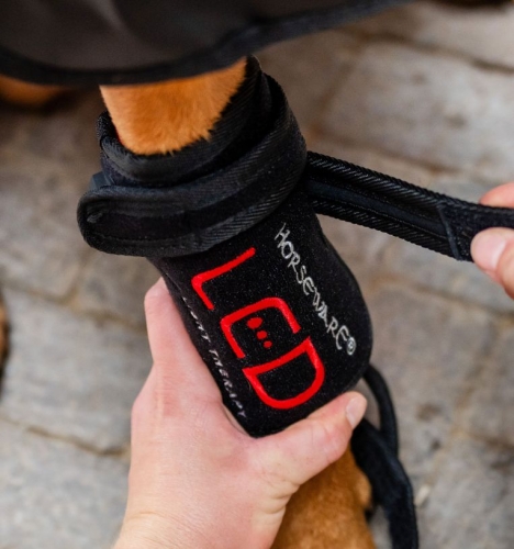 Pad-terapeutyczny-dla-psa-HORSEWARE-LED-Red-Light-THERAPY-1