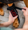 Pad-terapeutyczny-dla-psa-HORSEWARE-LED-Red-Light-THERAPY-3