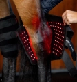 Ochraniacz-terapeutyczny-na-staw-skokowy-HORSEWARE-LED-Red-Light-THERAPY-3