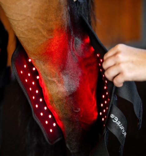 Ochraniacz-terapeutyczny-na-staw-skokowy-HORSEWARE-LED-Red-Light-THERAPY-1