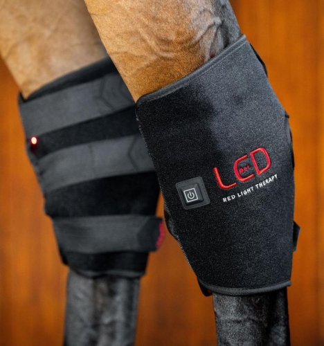 Ochraniacz-terapeutyczny-na-staw-skokowy-HORSEWARE-LED-Red-Light-THERAPY-2