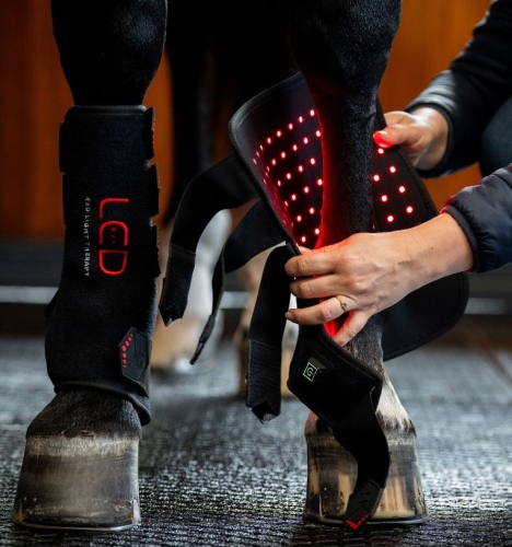 Ochraniacz-terapeutyczny-HORSEWARE-LED-Red-Light-Therapy-01