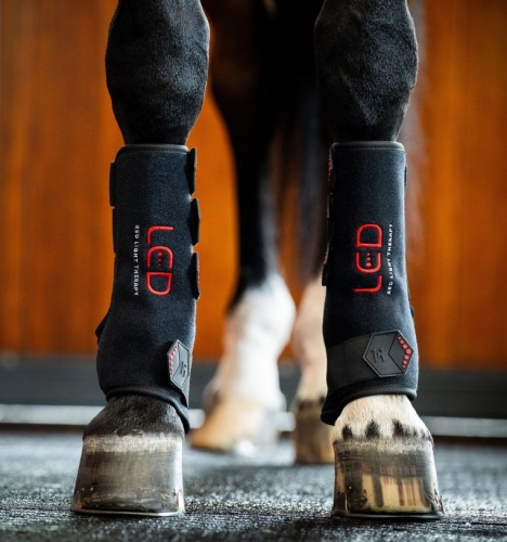 Ochraniacz-terapeutyczny-HORSEWARE-LED-Red-Light-Therapy-02