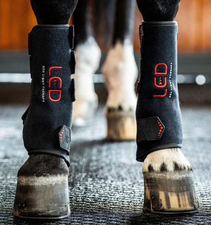 Ochraniacz-terapeutyczny-HORSEWARE-LED-Red-Light-Therapy-09