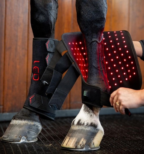 Ochraniacze-terapeutyczne-HORSEWARE-LED-Red-Light-Therapy-1
