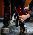 Ochraniacze-terapeutyczne-HORSEWARE-LED-Red-Light-Therapy-3