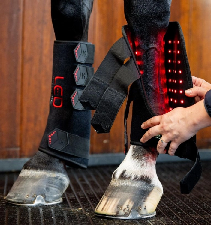 Ochraniacze-terapeutyczne-HORSEWARE-LED-Red-Light-Therapy-5