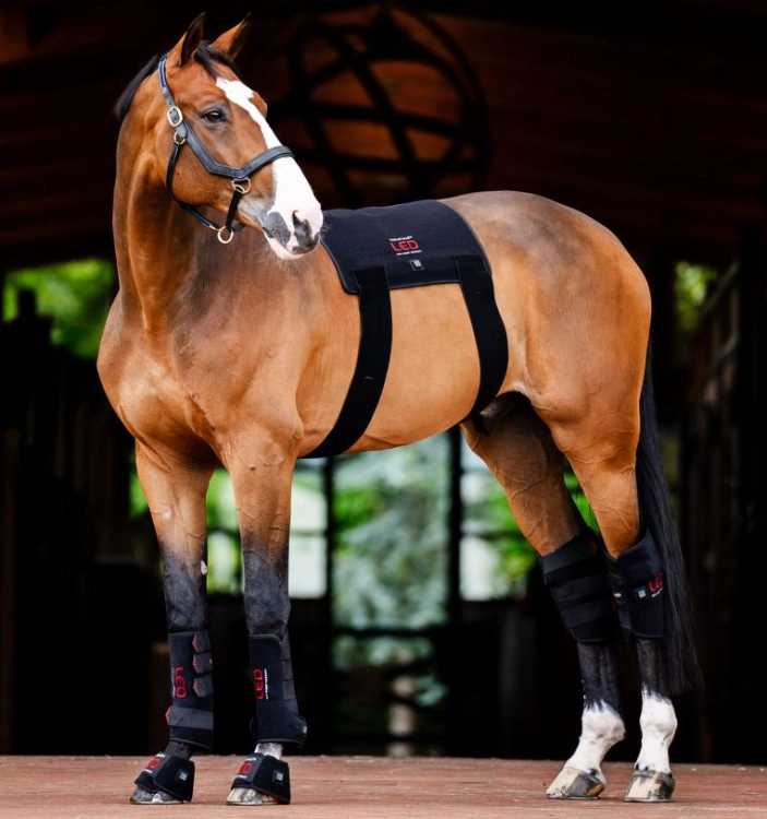 Ochraniacze-terapeutyczne-HORSEWARE-LED-Red-Light-Therapy-12