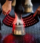 Kalosz terapeutyczny HORSEWARE "LED Red Light Therapy"