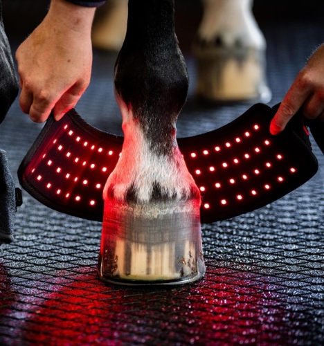 Kalosz-terapeutyczny-HORSEWARE-LED-Red-Light-Therapy-01