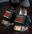 Kalosz-terapeutyczny-HORSEWARE-LED-Red-Light-Therapy-02