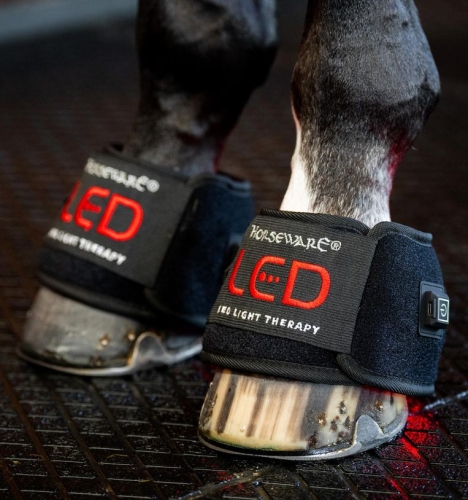 Kalosz-terapeutyczny-HORSEWARE-LED-Red-Light-Therapy-02