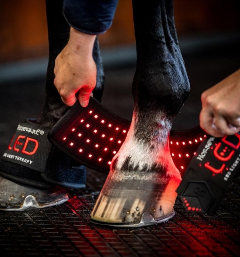 Kalosze-terapeutyczne-HORSEWARE-LED-Red-Light-Therapy-03