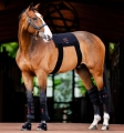 Kalosze-terapeutyczne-HORSEWARE-LED-Red-Light-Therapy