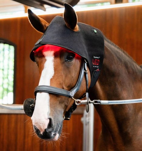 Pad terapeutyczny na potylicę HORSEWARE LED Red Light Therapy